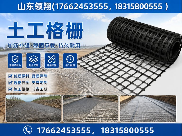 秦皇岛土工格栅展示图